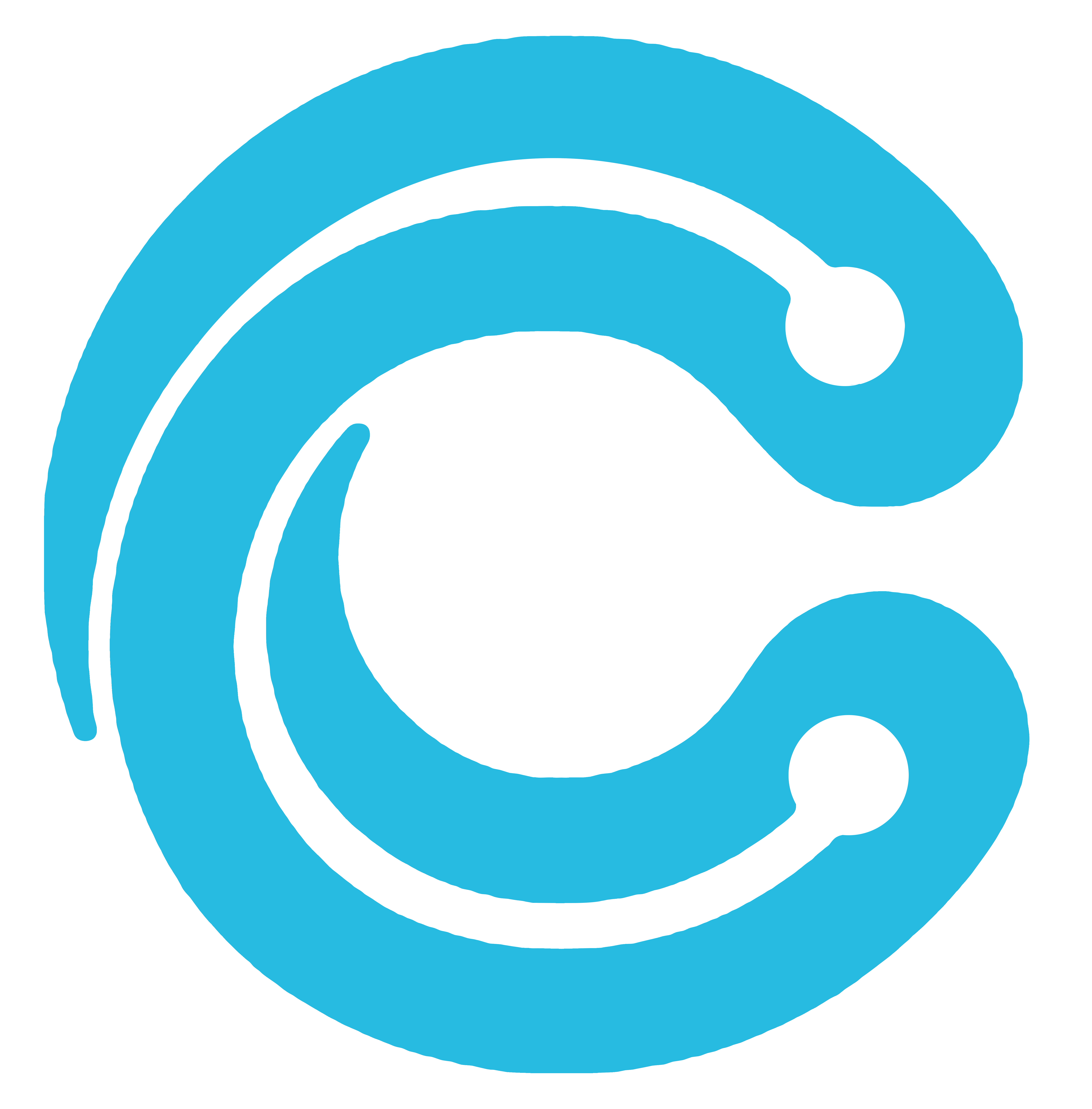 C 2